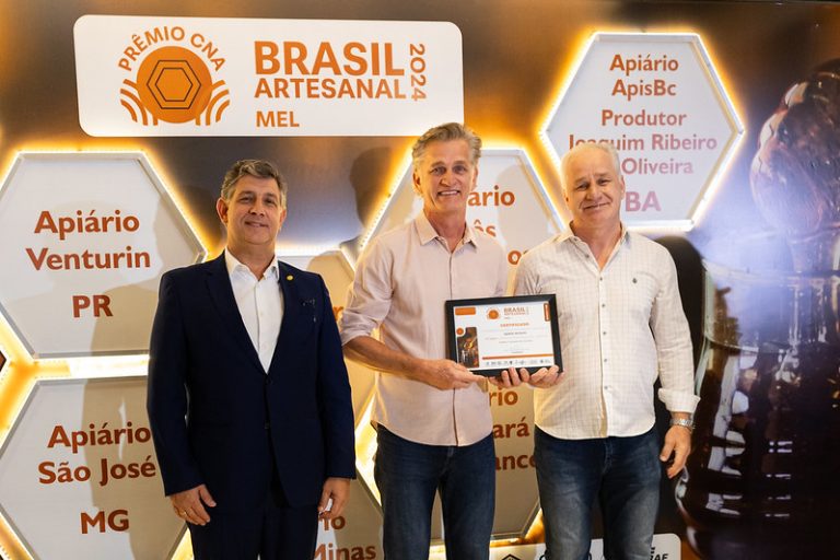 Mel escuro produzido em União da Vitória é reconhecido nacionalmente