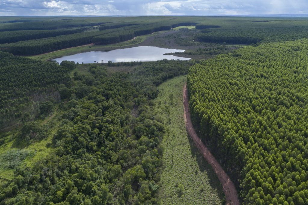 Conselho da Arauco aprova construção do Projeto Sucuriú