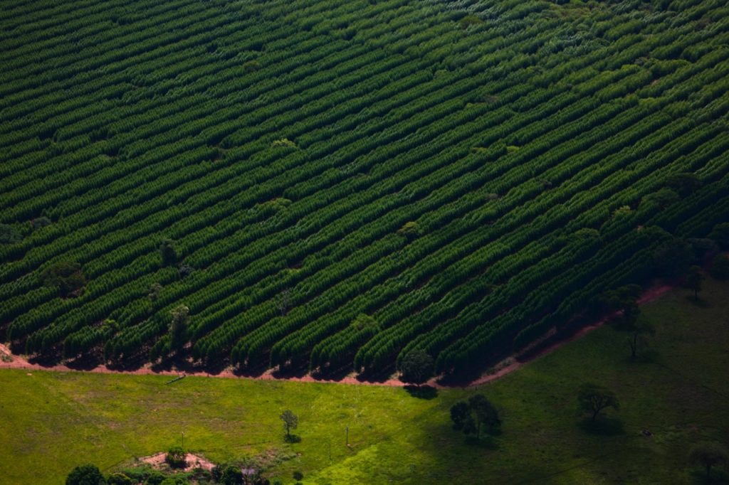 Suzano está com sete processos seletivos abertos para atender suas operações em Mato Grosso do Sul