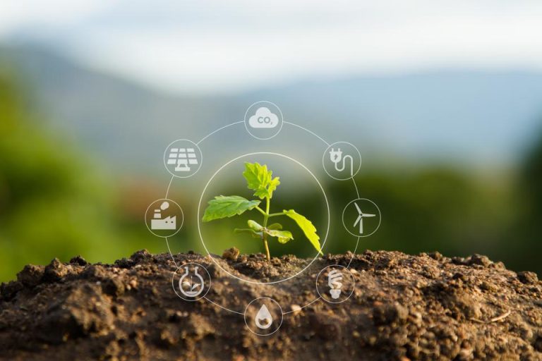 5 práticas sustentáveis do agronegócio brasileiro