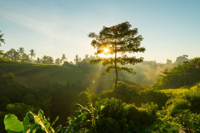 COP16: CNI apresenta recomendações para 7 temas prioritários à biodiversidade