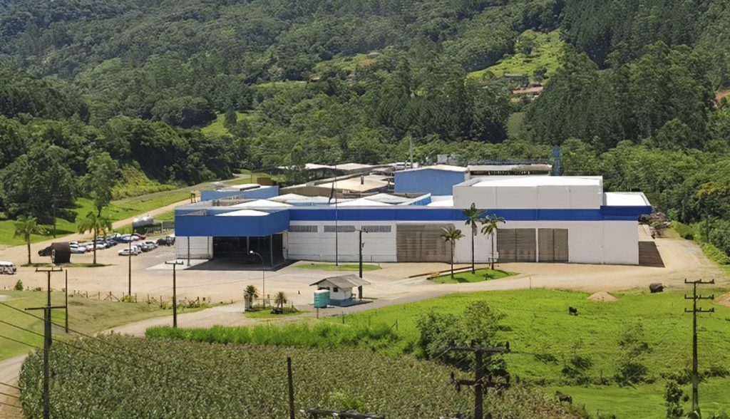 BN Papéis conta com apoio da Berkan para produção de seu primeiro Relatório de Sustentabilidade