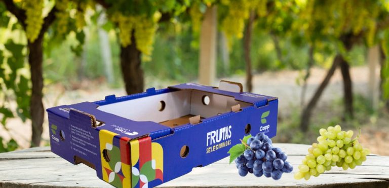 Embalagens sustentáveis são desafio para fruticultores