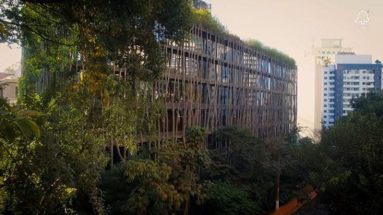 Arte, arquitetura e construção sustentável em madeira são o foco da nova campanha do FSC Brasil