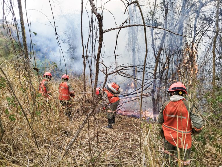 Setor florestal mobilizado no monitoramento e combate aos incêndios rurais