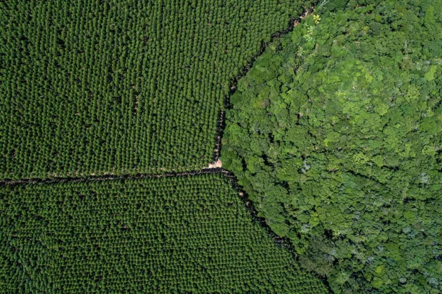 Suzano firma parceria com a CMAK AgroForest para impulsionar o desenvolvimento tecnológico no campo