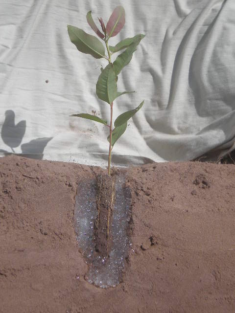 Grave seca ameaça agro no Brasil