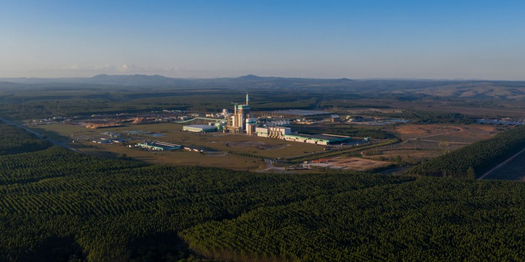 Monitoramento noturno de gado reforça compromisso da Veracel com a conservação ambiental
