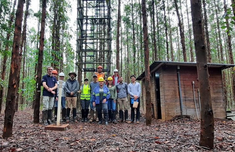 Encontro trata de produtividade, fluxos de carbono e água em Eucalyptus