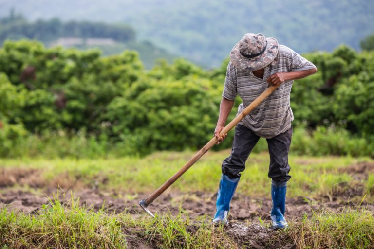 Projeto da UTFPR deve gerar redução de custos para produtores da agricultura familiar e terá recursos da Finep
