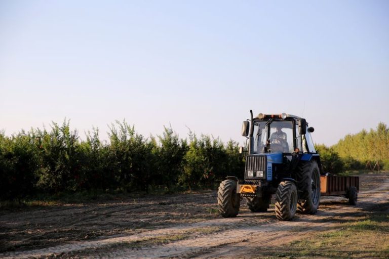 O agronegócio de 2025