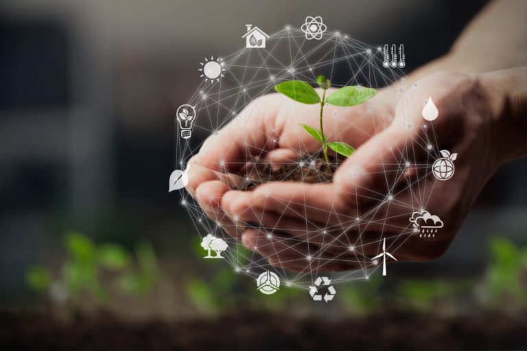 Saiba por que a criação de um Marco Regulatório ESG é essencial para a sustentabilidade no Brasil
