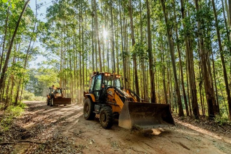 Armac avança no mercado florestal com nova operação em um dos principais polos do Brasil