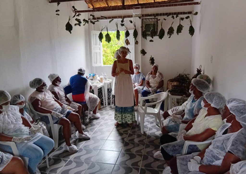 Comunidade de terreiro na Bahia lança cartilha ‘O Saber Ancestral e as Plantas Medicinais’ com apoio da Bracell