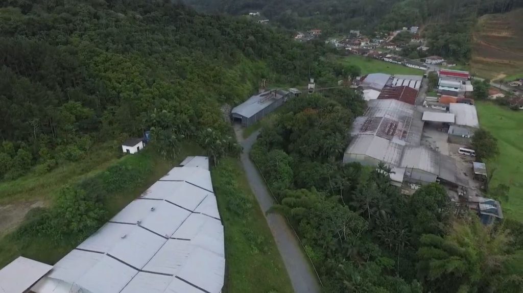 Segunda etapa do leilão da Schmitz Agroindustrial é nesta terça-feira e tem lances reduzidos em 50%