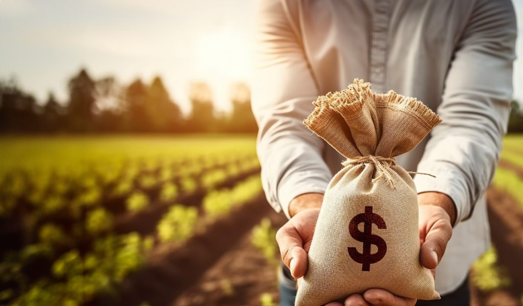Plano safra e seguro rural: programas essenciais para o agronegócio brasileiro sofrem limitações de repasses