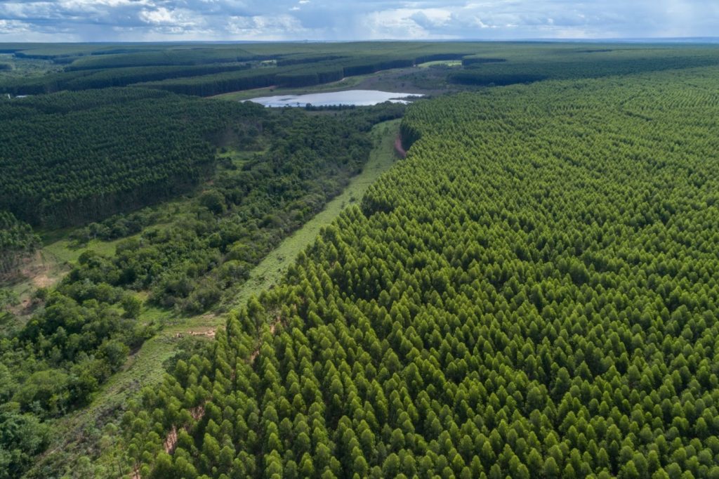 Arauco lança manifesto do Projeto Sucuriú