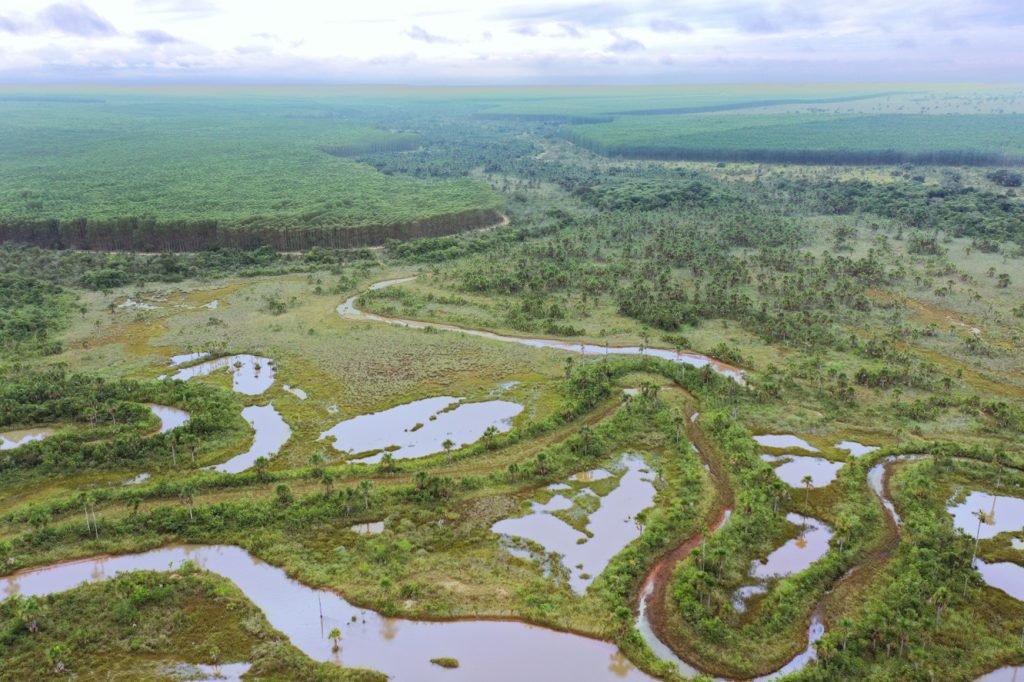 Eldorado Brasil reforça compromissos com inovação e sustentabilidade