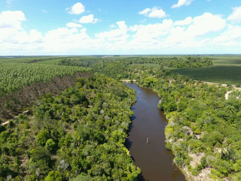 Suzano reforça compromisso ambiental com corredores para interligar fragmentos da Mata Atlântica