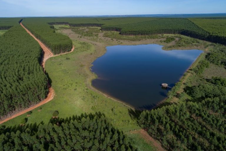 Timenow conquista projeto da Arauco e amplia atuação em papel e celulose