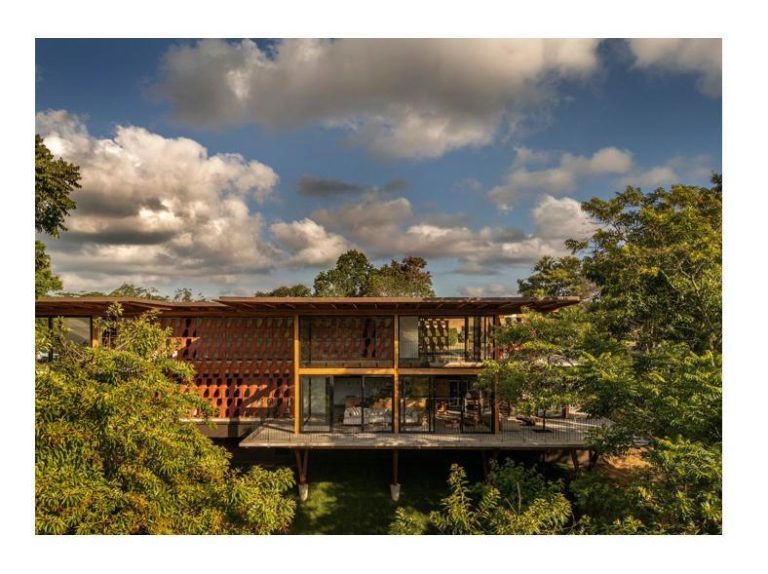 Recordes mundiais da arquitetura em madeira inspiram um futuro sustentável