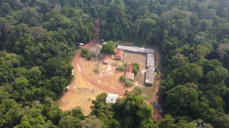 R$ 27 milhões vindos de concessões florestais federais chegam a estados e municípios da Amazônia
