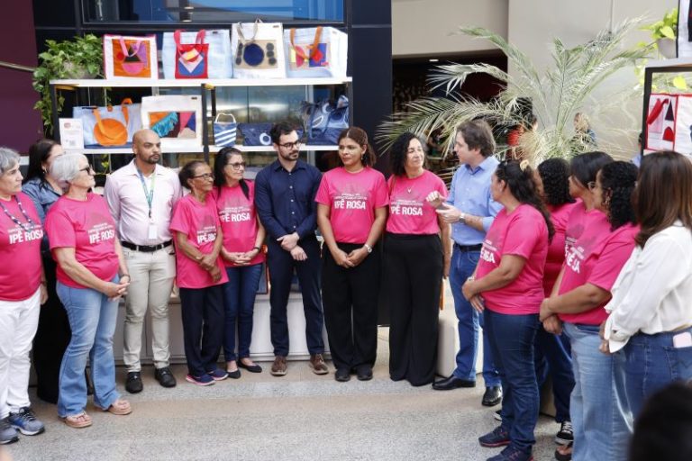 Exposição transforma resíduos florestais em moda, renda e protagonismo de mulheres em Mato Grosso do Sul
