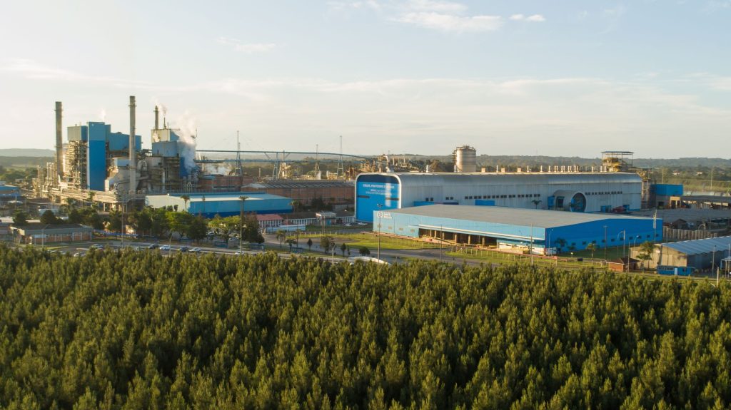 Após um ano da fusão, Smurfit Westrock fortalece operação e impacto sustentável no Brasil