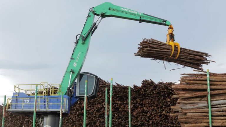 Com bolsas de R$ 1,4 mil, Suzano abre inscrições para curso de Operador(a) de Abastecimento de Madeira em Três Lagoas (MS)