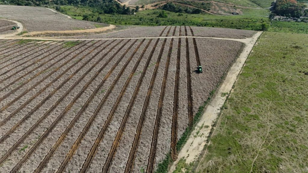 Reflorestar anuncia aporte de R$ 35 milhões no 2º semestre e amplia soluções florestais mecanizadas