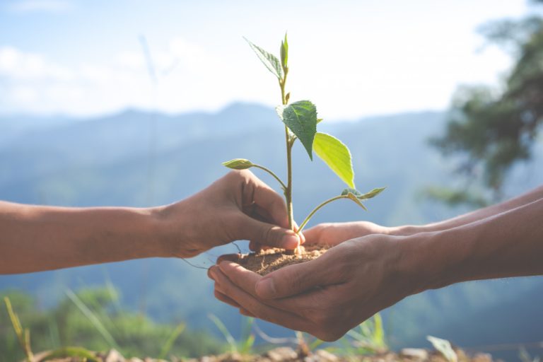 55% da indústria acredita que a melhoria da eficiência é o principal motivo para buscar maior sustentabilidade