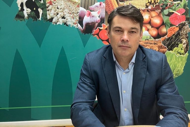 FAESC apoia PL que visa permitir o manejo sustentável da Araucária
