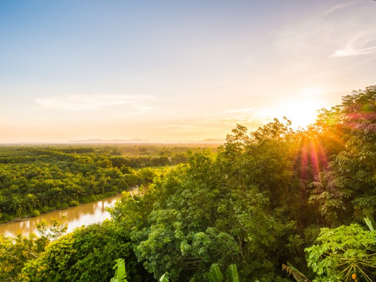 FSC é reconhecido entre as 10 principais associações globais de sustentabilidade pela Sustainability Magazine