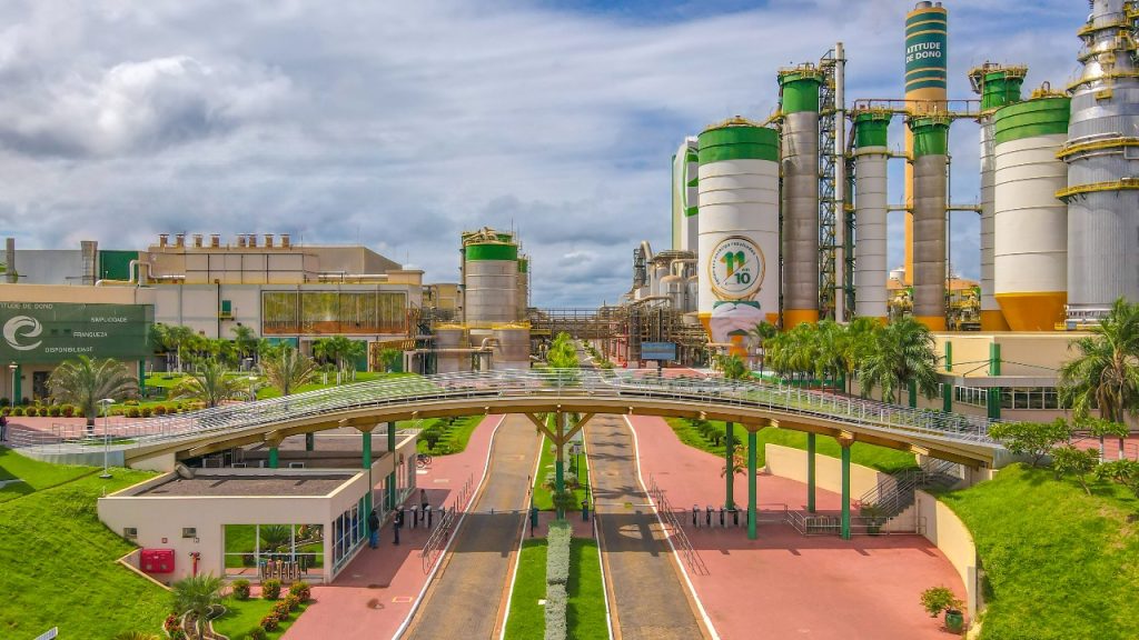 Eldorado Brasil vence categoria Papel e Celulose em prêmio da Veja Negócios
