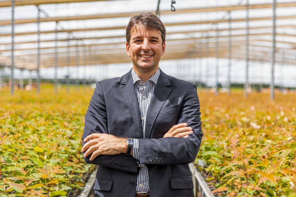 Entrevista I Setor florestal brasileiro aproveita COP30 para reforçar o reconhecimento global e a sustentabilidade