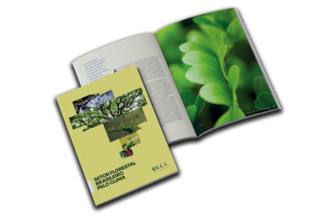 Ibá lança documento que evidencia contribuições de setor baseado na natureza para a mitigação das mudanças climáticas