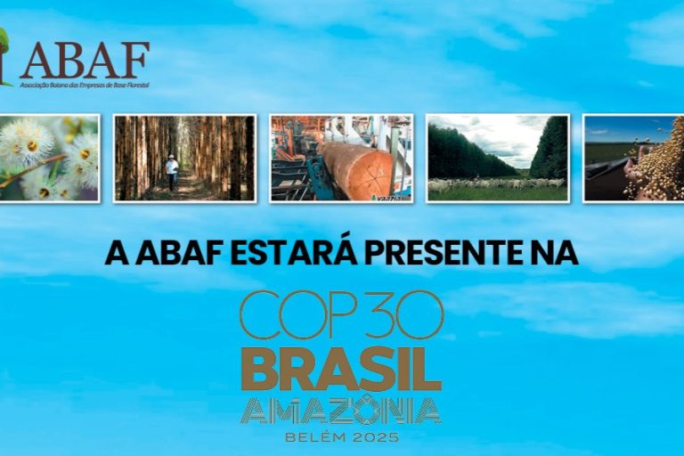 Setor de florestas plantadas contribui para minimizar efeitos da crise climática