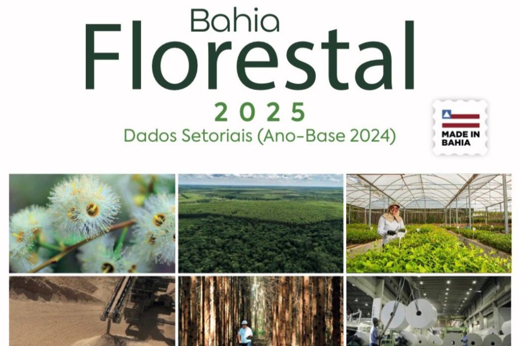 De 27 a 29/11 a entrada da e-Agro 2025 mostra as vantagens econômicas, sociais e ambientais do setor florestal