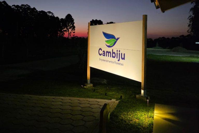 Fazenda Cambiju se consolida como referência em manejo florestal sustentável no Paraná