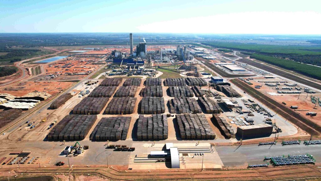 Suzano está com nove processos seletivos abertos para Ribas do Rio Pardo e Três Lagoas (MS)