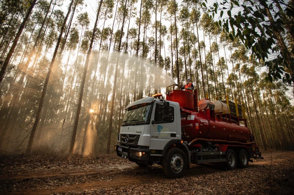 ENTREVISTA: COMO O SETOR FLORESTAL PAULISTA REDUZIU INCÊNDIOS E AMPLIOU A INTEGRAÇÃO COM O PODER PÚBLICO EM 2025