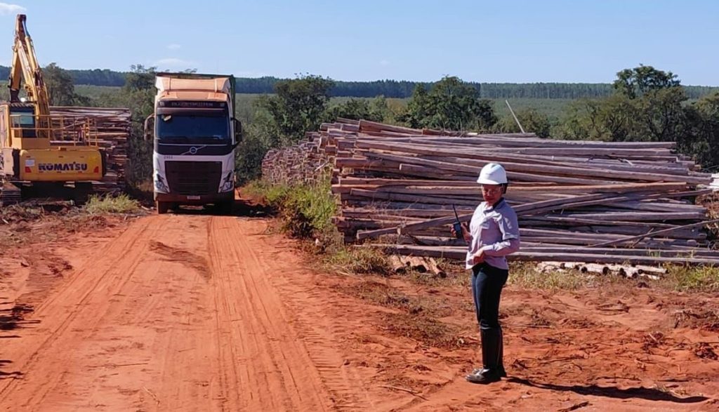 Com 42 motoristas qualificadas, Suzano colabora para promover a equidade de gênero no setor de transporte florestal de MS