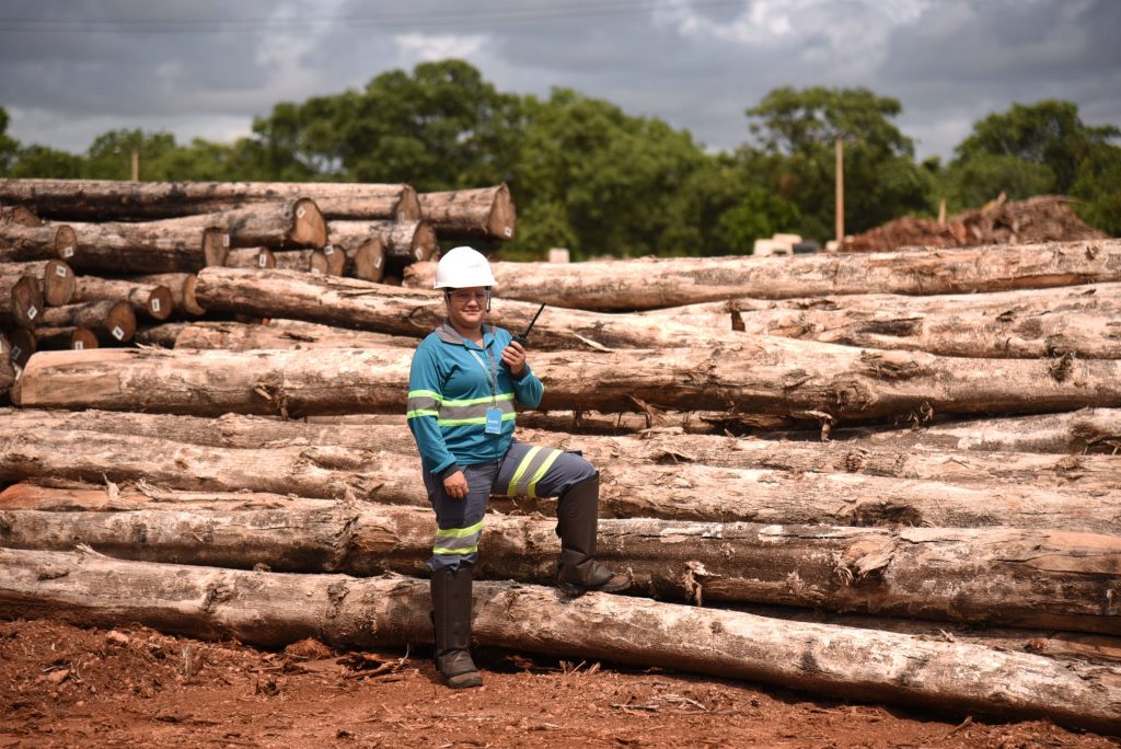 Brado bate recorde histórico no tratamento de cargas florestais e agrícolas no terminal de Rondonópolis