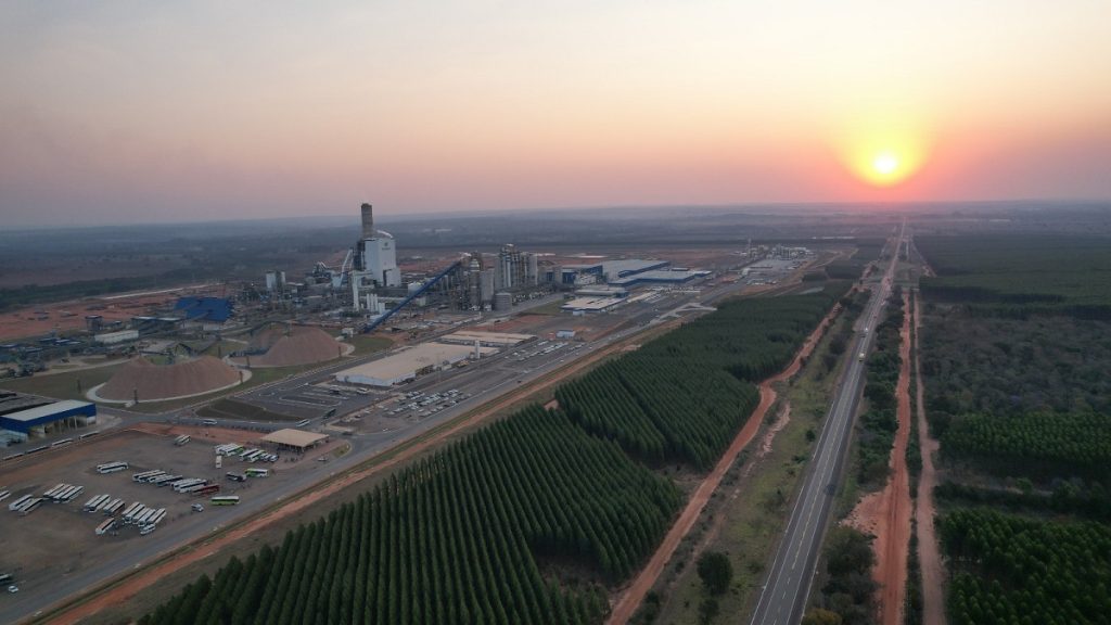 Suzano tem cinco processos seletivos abertos em Ribas do Rio Pardo e Três Lagoas (MS)