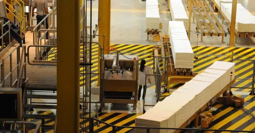 Brasil bate recorde de produção e exportação de celulose em 2025