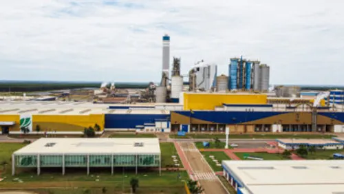 Paper Excellence Brasil inicia transição de marca e passa a integrar identidade global da Domtar