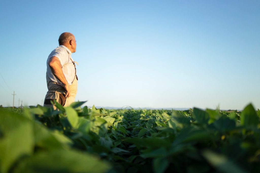Mesmo com safra recorde, crise sistêmica desafia o agro brasileiro