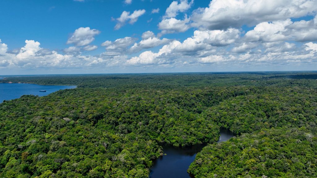 Verthic traz novo sócio e amplia escopo para estruturar projetos territoriais e ambientais em escala nacional