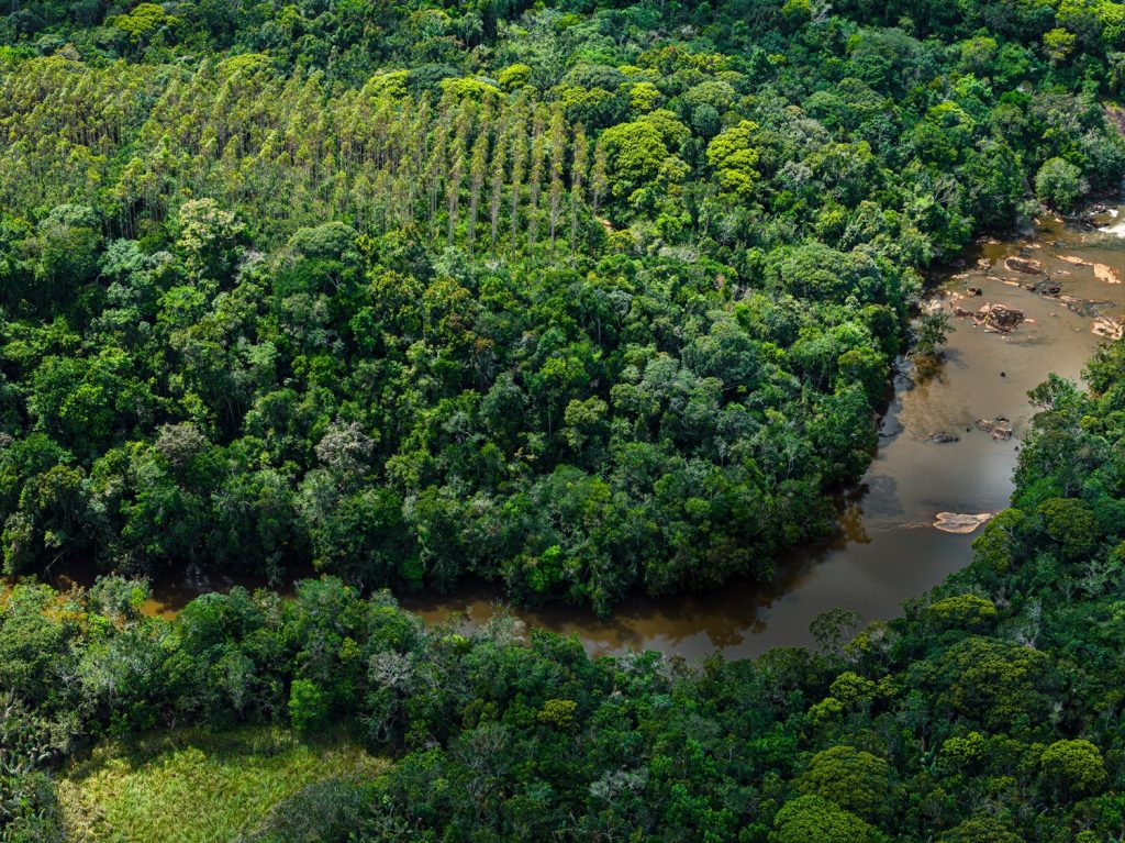 Bracell avança na contribuição para paisagens sustentáveis e supera metas de conservação da biodiversidade