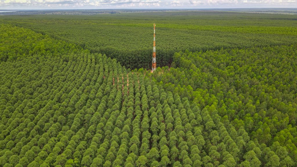 Plano de Manejo Florestal 2025: Eldorado Brasil detalha estratégia de tecnologia e conservação ambiental